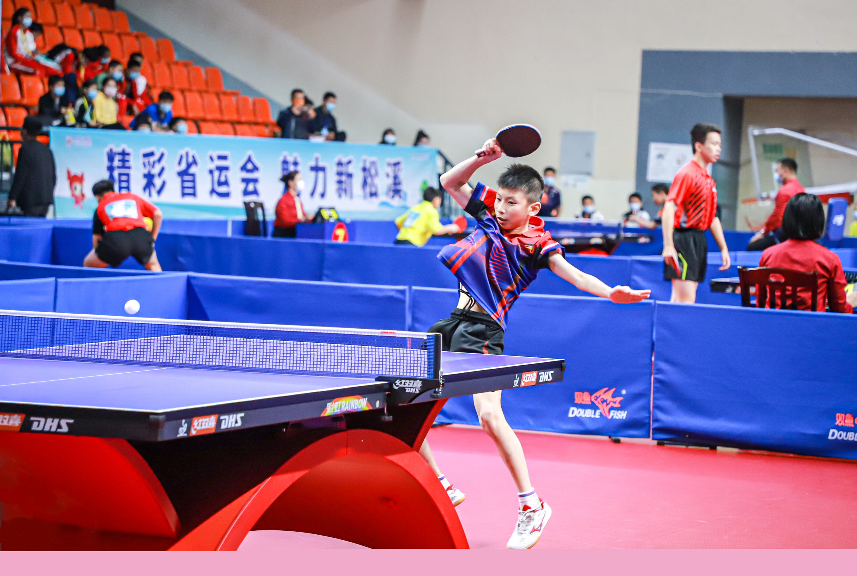 球迷的关注 球迷的关注