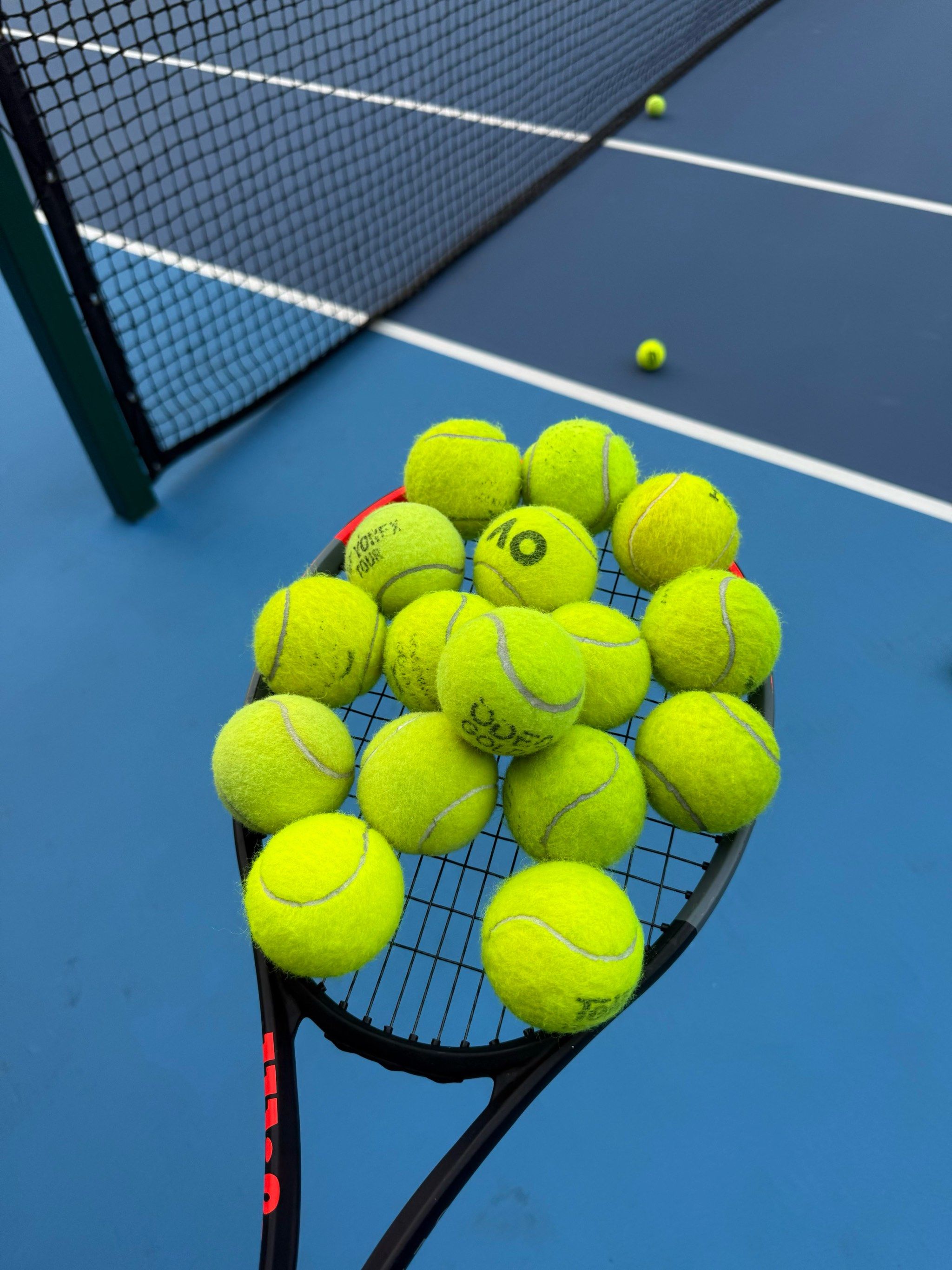 荷兰出战 荷兰出战