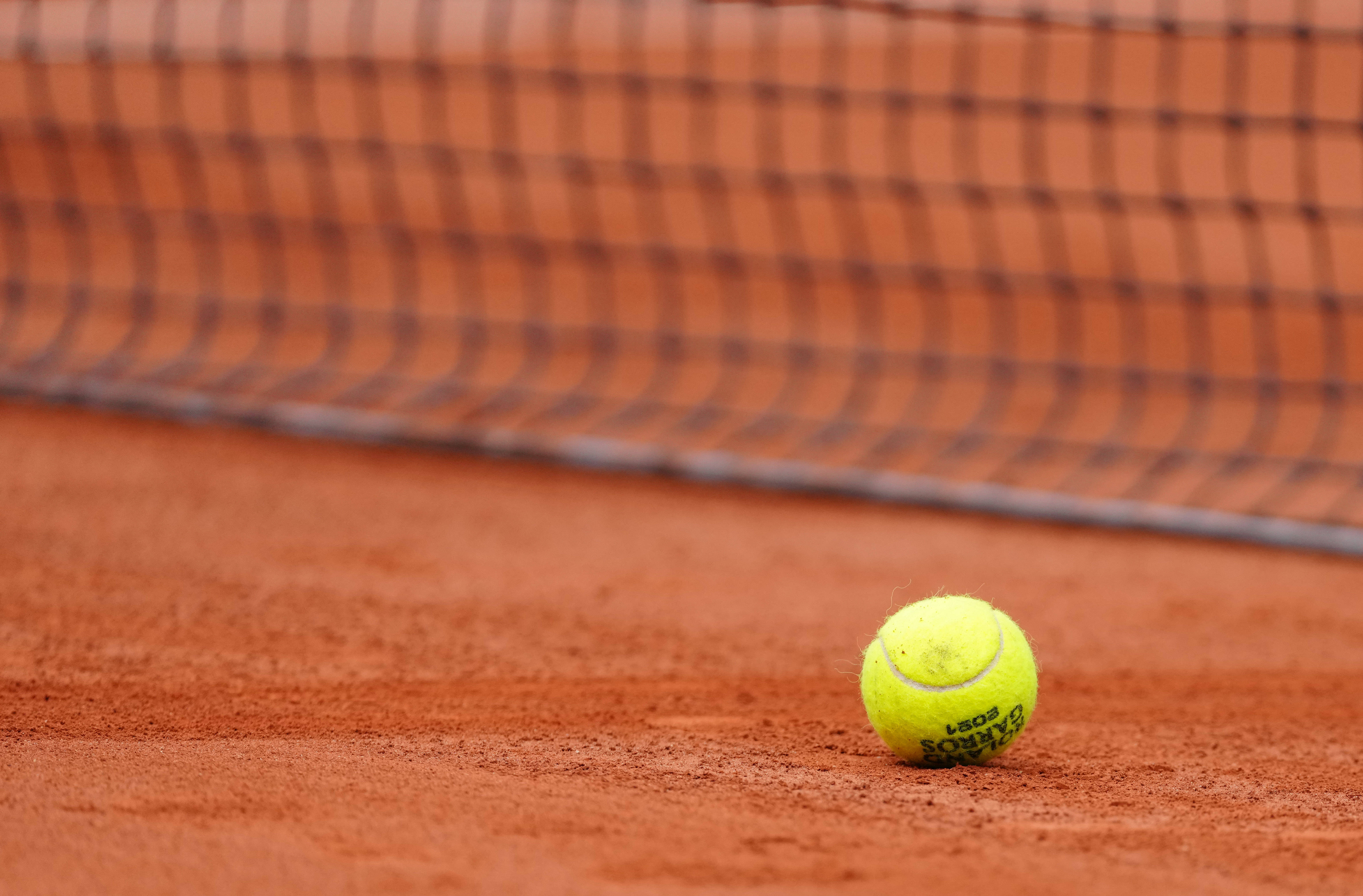 他们在主场 他们在主场