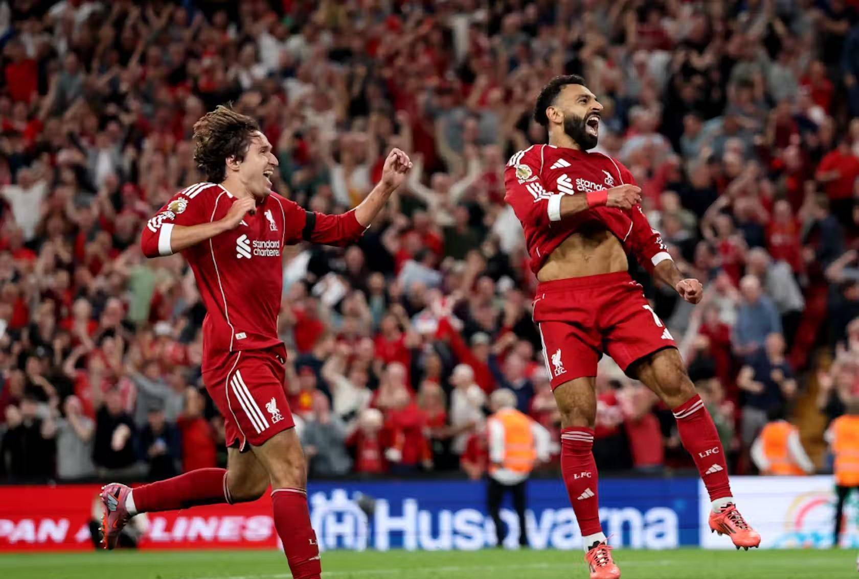 还需要情感 还需要情感