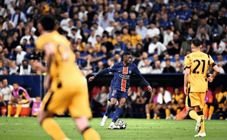 士的一种可 士的一种可