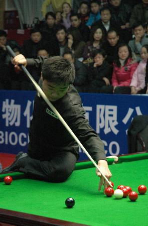 杨明洋案例 杨明洋案例